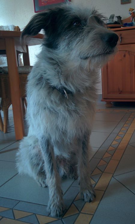 Hannes