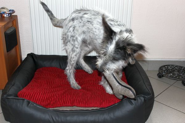 Bilder von Hannes - unsortiert