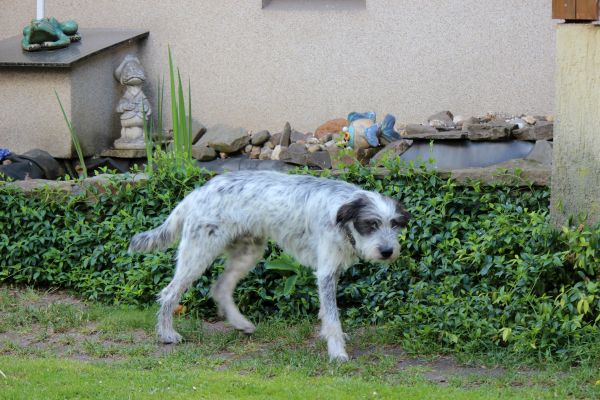 Bilder von Hannes - unsortiert