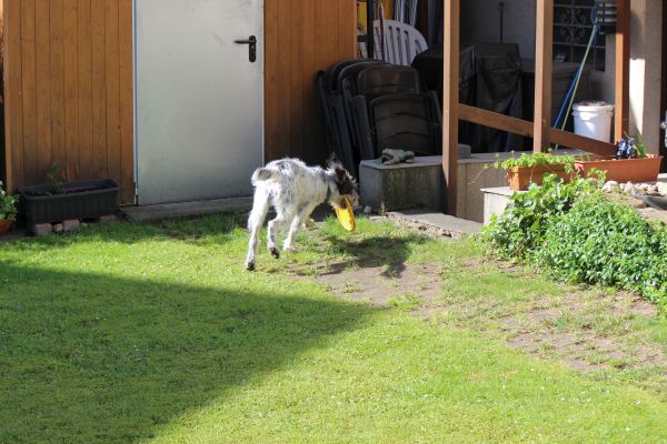 Bilder von Hannes - unsortiert