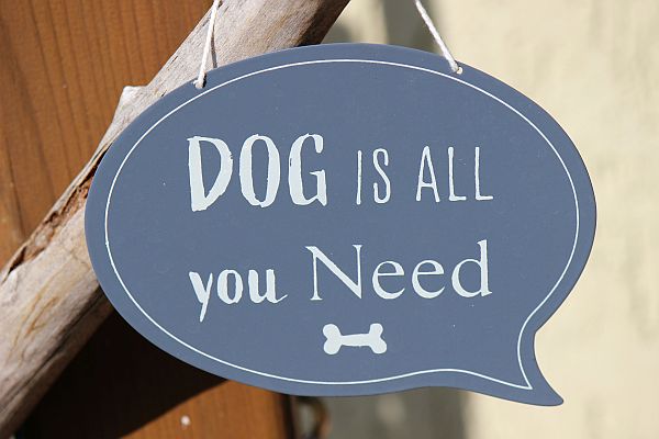Dog is all you need!