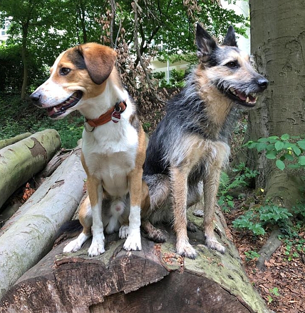 Bruno und Berta