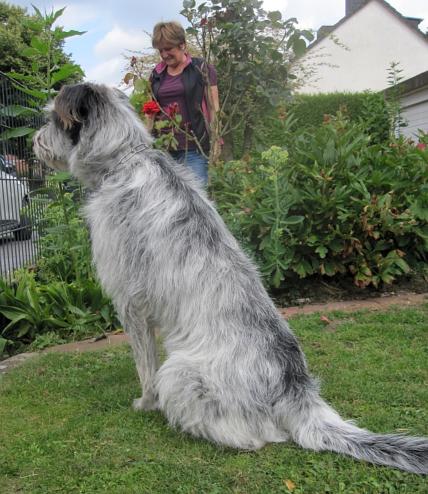 Hannes