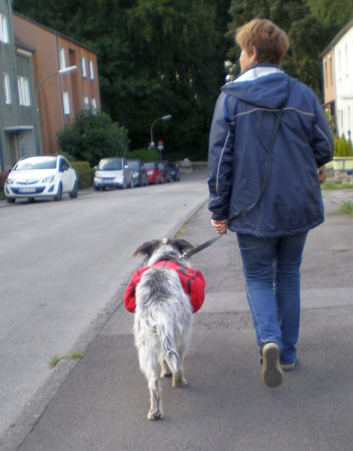 Hannes