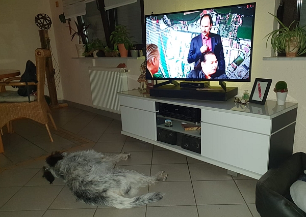 Hannes