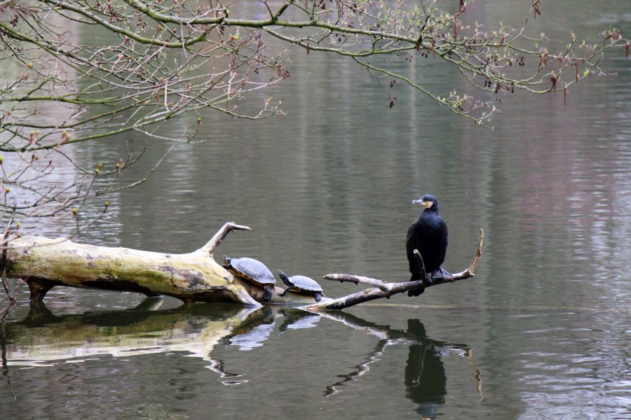 Rombergpark am 28.03.2019
