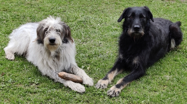 Hannes und Lula