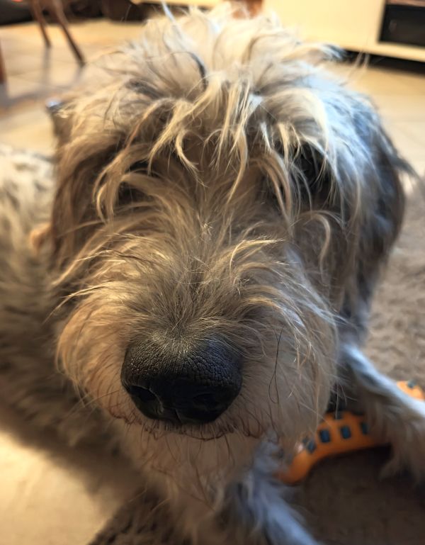 Geschichten von Hannes und Lula