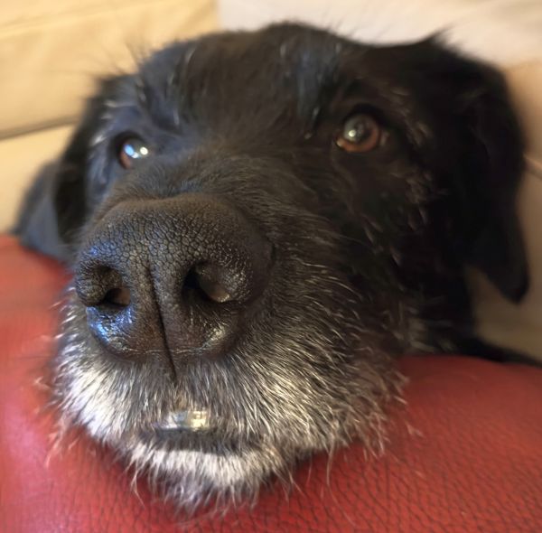 Geschichten von Hannes und Lula