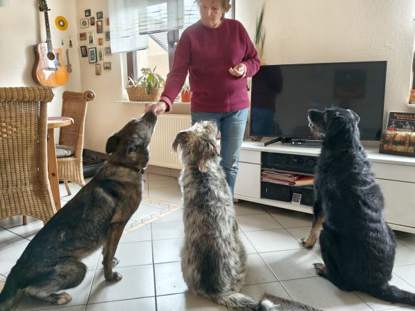 Geschichten von Hannes und Lula