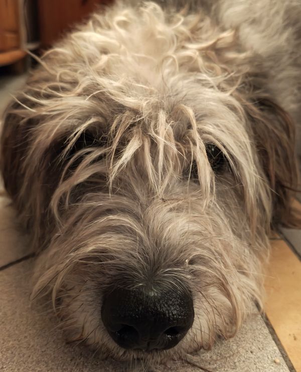 Geschichten von Hannes und Lula