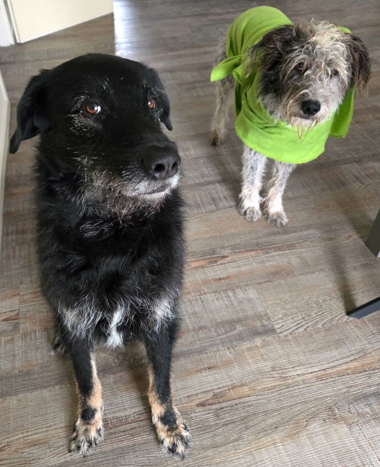 Fotografin; Birgit R.