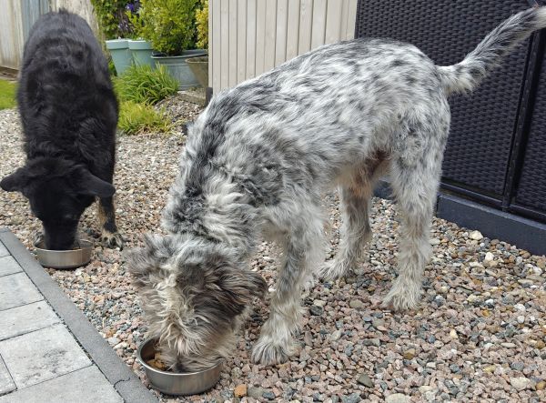 Hannes und Lula