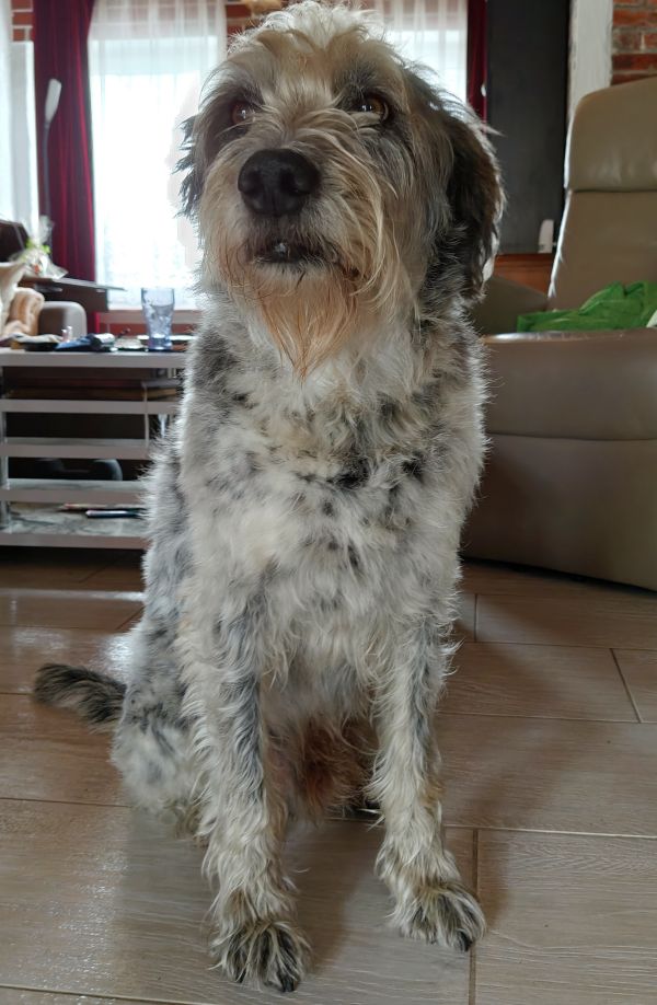 Hannes und Lula