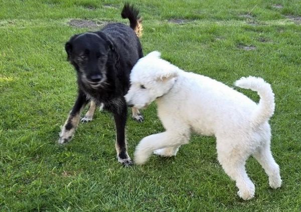 Hannes und Lula