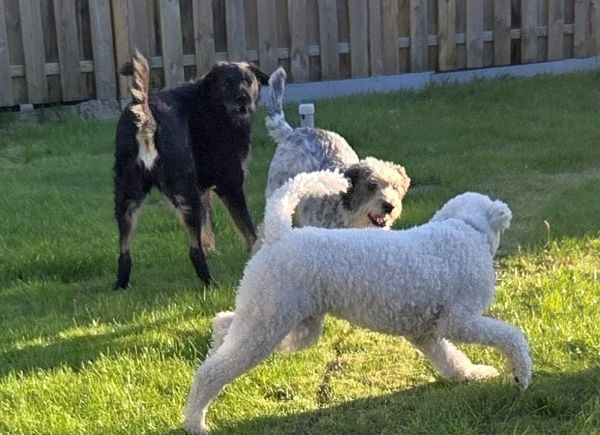 Hannes und Lula