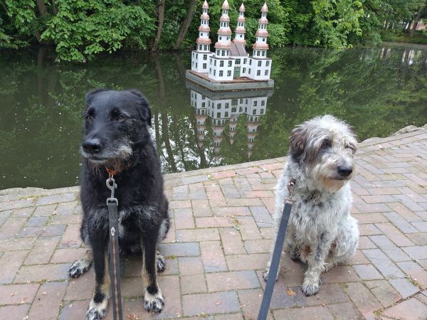 Hannes und Lula
