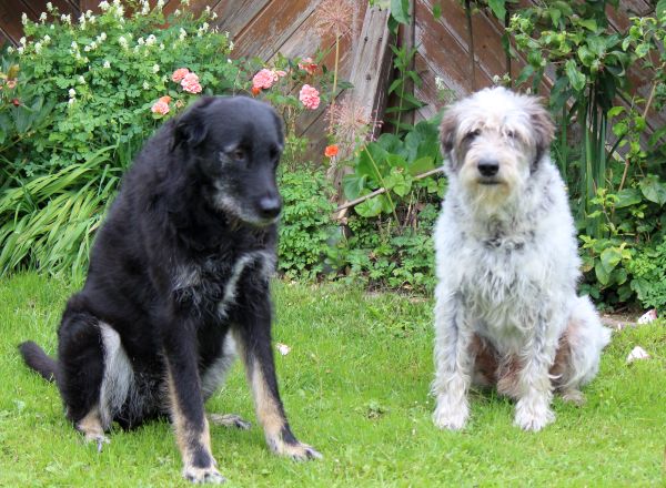 Hannes und Lula Hannes und Lula