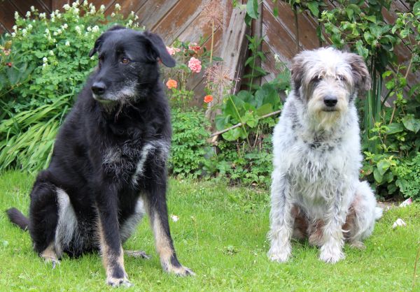 Hannes und Lula Hannes und Lula