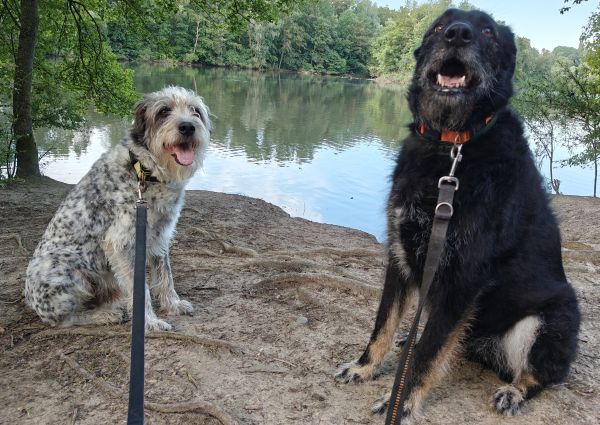 Hannes und Lula Hannes und Lula