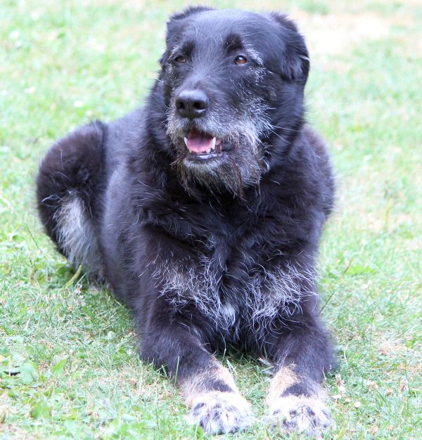 Hannes und/oder Lula Hannes und/oder Lula