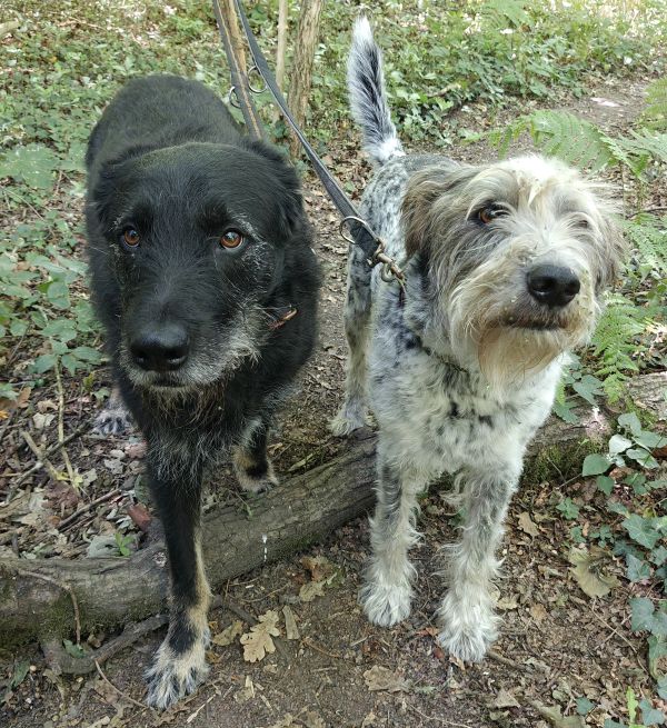Hannes und/oder Lula Hannes und/oder Lula
