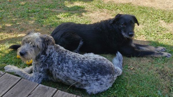 Hannes und/oder Lula Hannes und/oder Lula