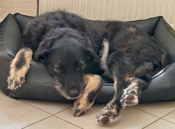 Hannes und/oder Lula