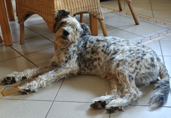 Hannes und/oder Lula