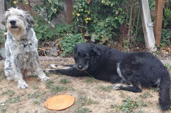 Hannes und/oder Lula