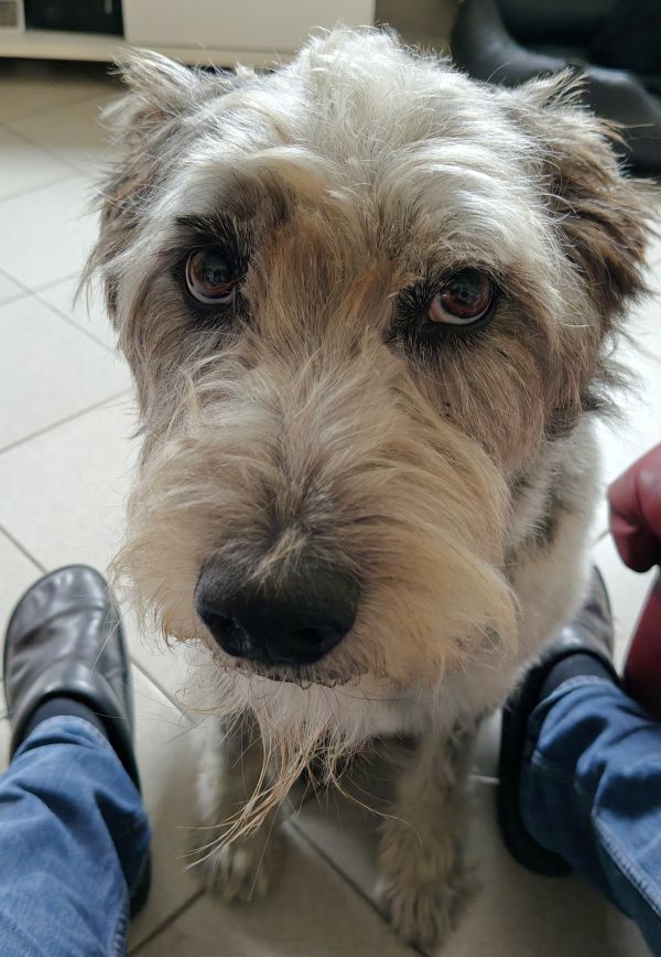 Hannes und/oder Lula