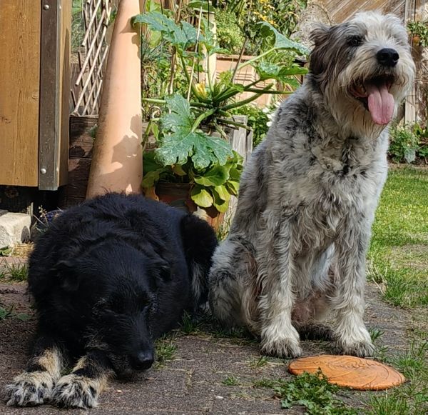 Hannes und/oder Lula