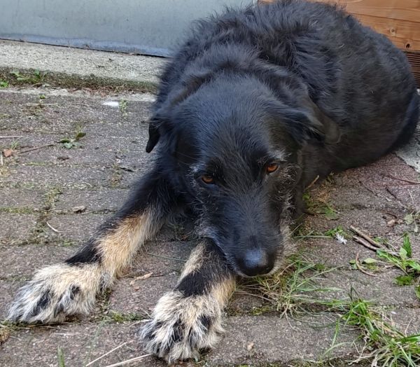 Hannes und/oder Lula