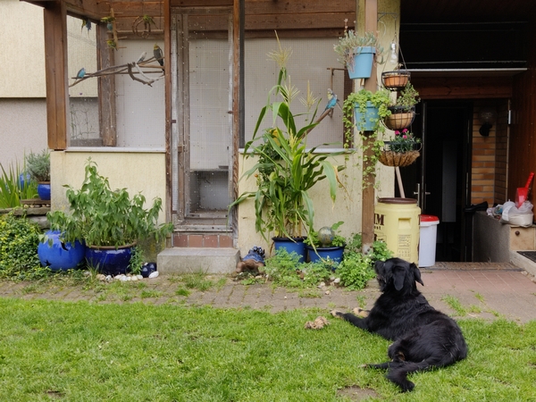 Hannes und Lula