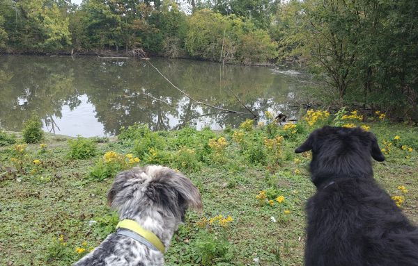 Geschichten von Hannes und Lula Geschichten von Hannes und Lula