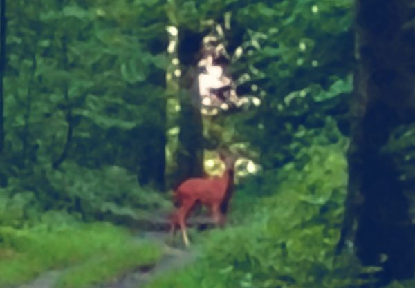 Geschichten von Hannes und Lula Geschichten von Hannes und Lula