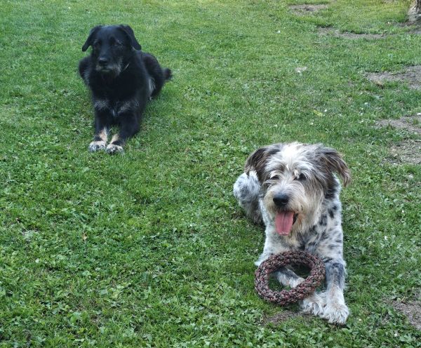 Geschichten von Hannes und Lula Geschichten von Hannes und Lula