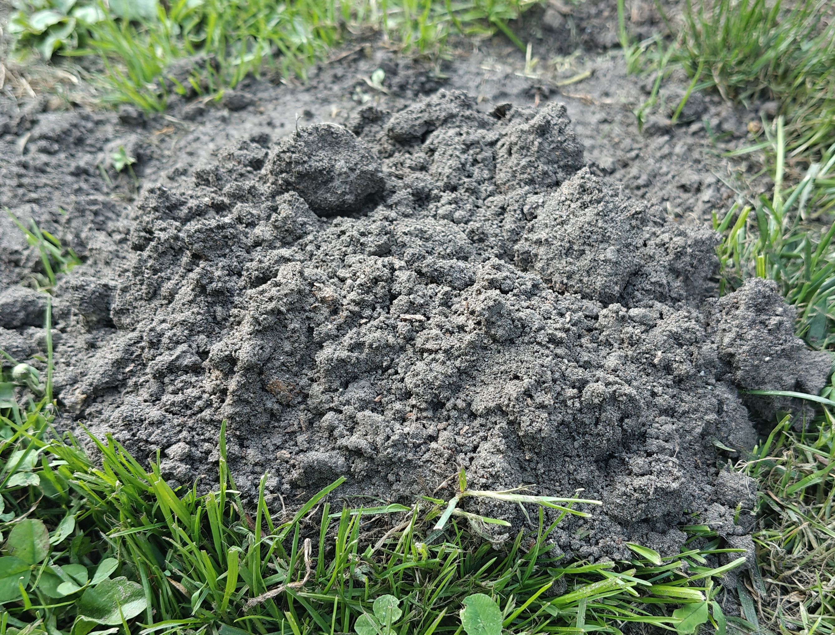 Geschichten von Hannes und Lula Geschichten von Hannes und Lula