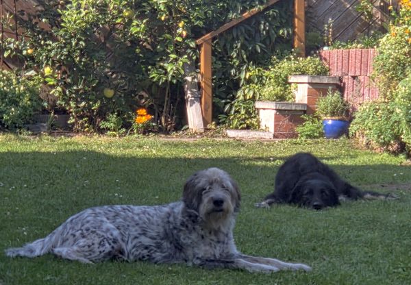 Geschichten von Hannes und Lula Geschichten von Hannes und Lula