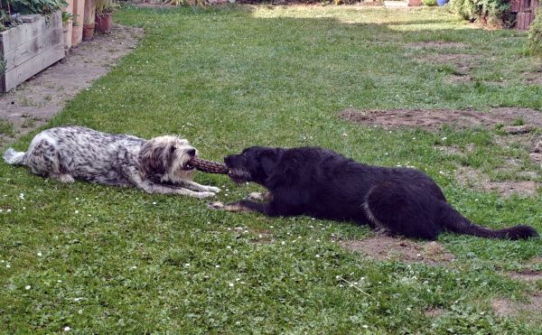 Geschichten von Hannes und Lula Geschichten von Hannes und Lula