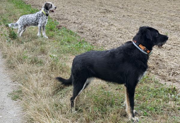 Geschichten von Hannes und Lula Geschichten von Hannes und Lula