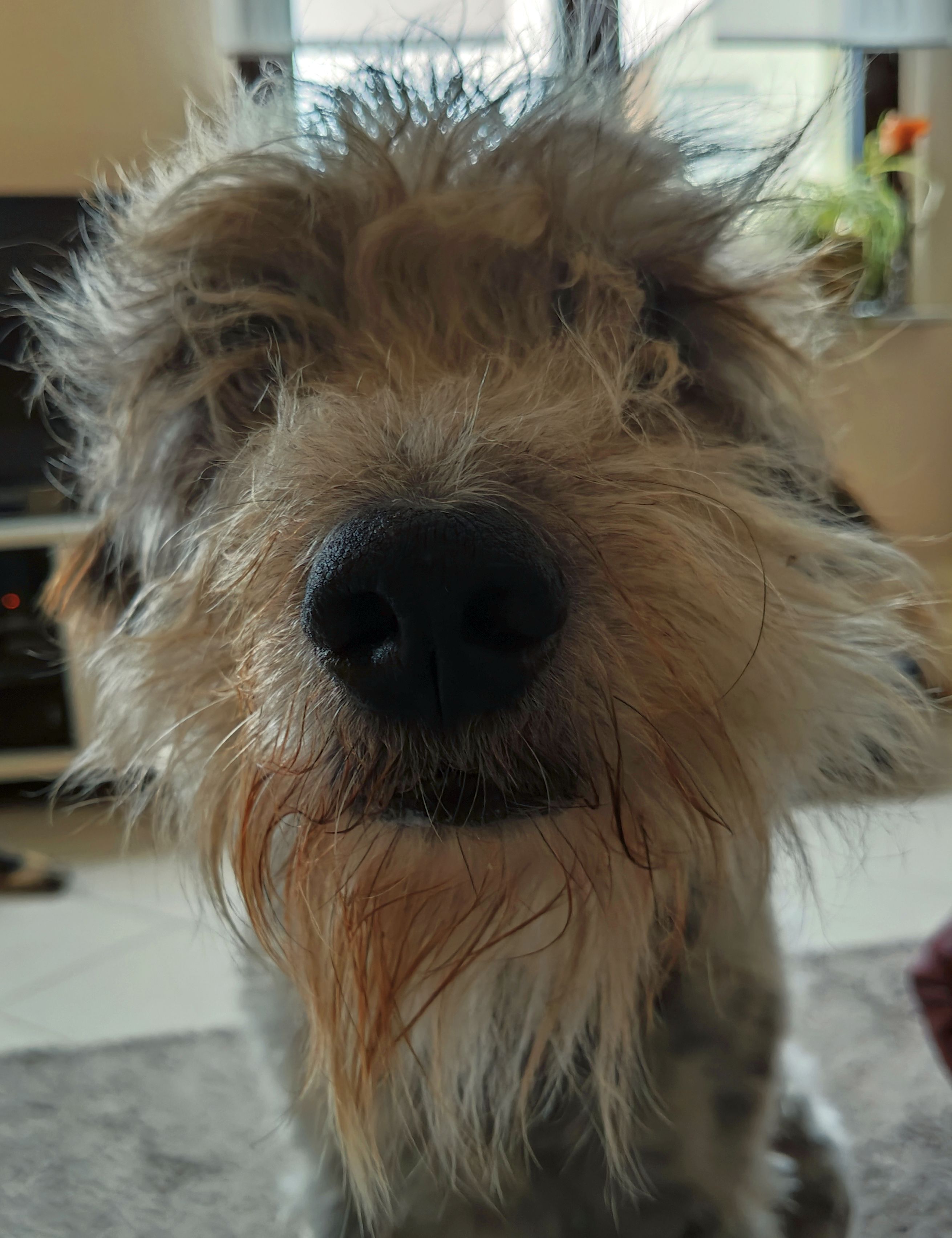 Geschichten von Hannes und Lula Geschichten von Hannes und Lula