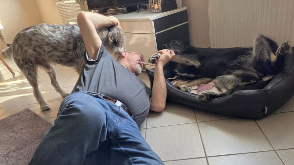 Geschichten von Hannes und Lula Geschichten von Hannes und Lula