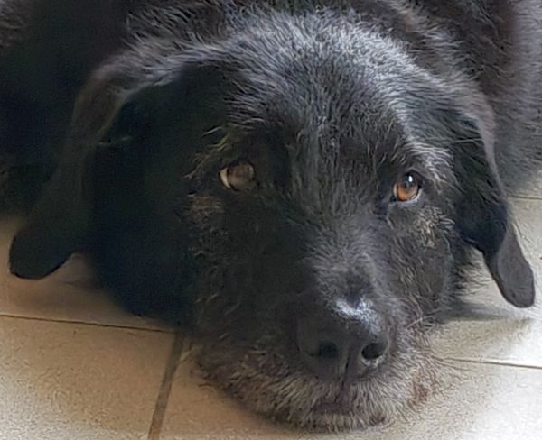 Geschichten von Hannes und Lula Geschichten von Hannes und Lula