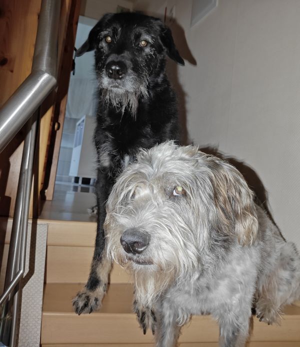 Geschichten von Hannes und Lula Geschichten von Hannes und Lula