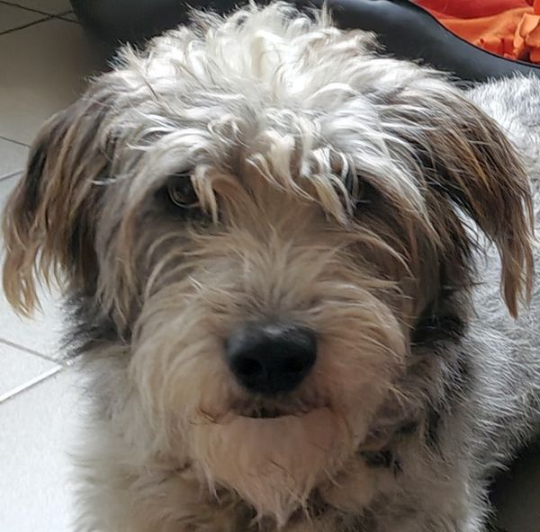 Geschichten von Hannes und Lula Geschichten von Hannes und Lula