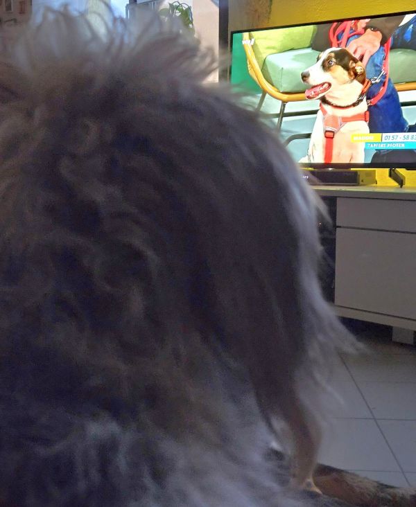 Geschichten von Hannes und Lula Geschichten von Hannes und Lula