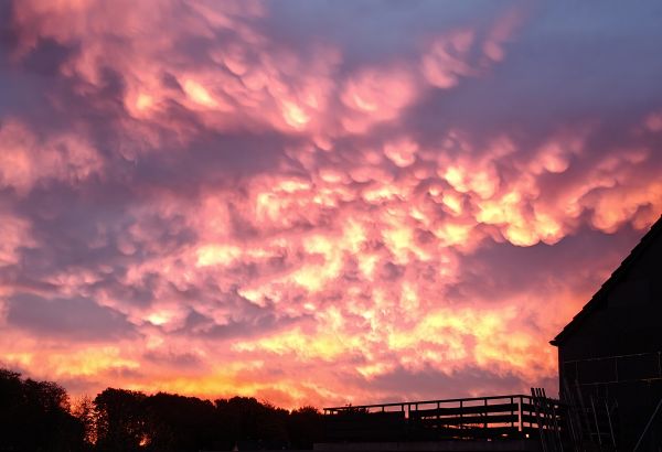 Geschichten von Hannes und Lula Geschichten von Hannes und Lula