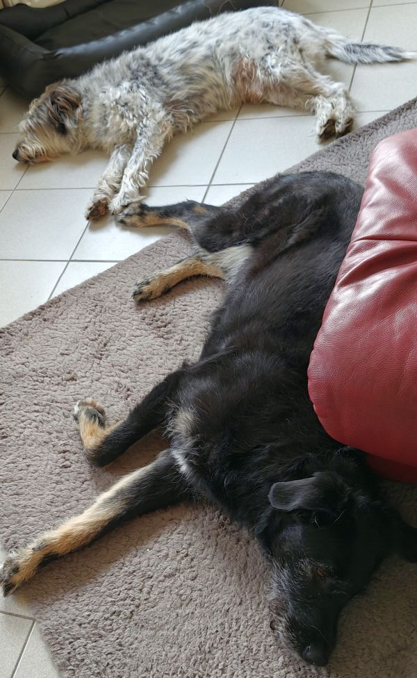 Geschichten von Hannes und Lula Geschichten von Hannes und Lula