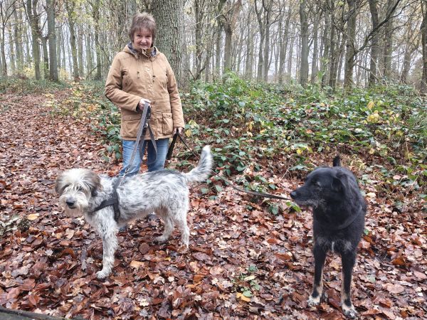 Geschichten von Hannes und Lula Geschichten von Hannes und Lula